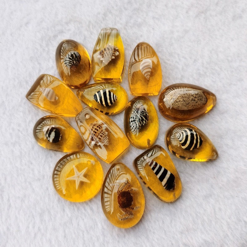 sea amber