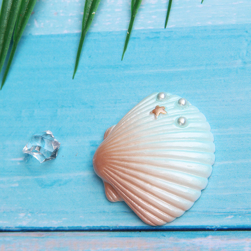 pretty shells